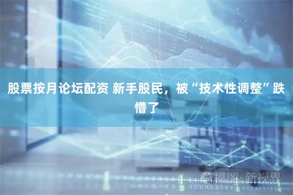 股票按月论坛配资 新手股民，被“技术性调整”跌懵了
