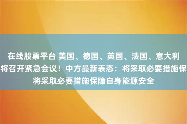 在线股票平台 美国、德国、英国、法国、意大利、加拿大和日本将召开紧急会议！中方最新表态：将采取必要措施保障自身能源安全