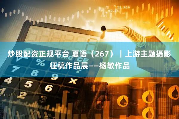 炒股配资正规平台 夏语（267）｜上游主题摄影征稿作品展——杨敏作品